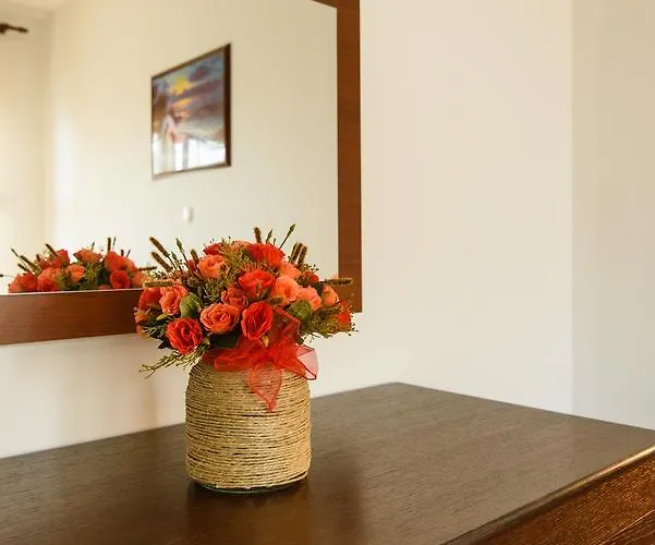 Sofija * 트로기르